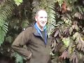 Wild boar rips injured Hunter while hog hunting with dogs
