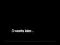 Basshunter - 3 Weeks Later.flv Basshunter - 3 Weeks Later.flv