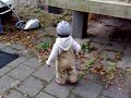 Fegen Fegen