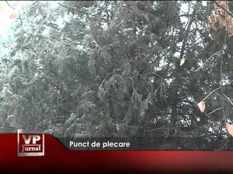 Punct de plecare
