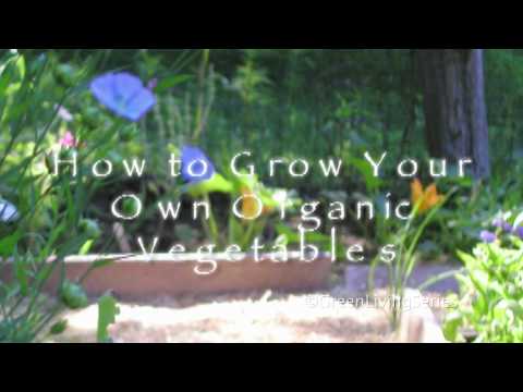 how to grow vegetables dvd