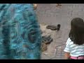 jamaa EL fna-serpent