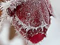 Hans Zimmer Cry (Holiday soundtrack) Hans Zimmer Cry (Holiday soundtrack)