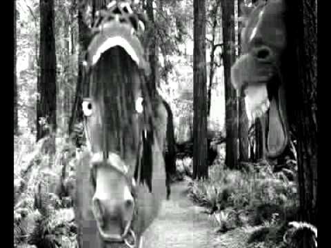 Wallace.mp4