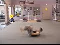 KipUp Tricking Exampler