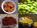 andhra pradesh presentation