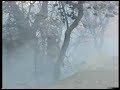 pomarico uricchio incendi furti terrore