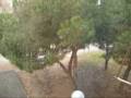 NIEVE EN MADRID