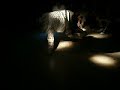 tomo i armija bboy battle tomo i armija bboy battle