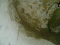 ?acl�?sk� z�mek 02