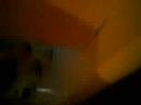 cats again lol