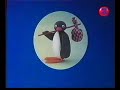 Pingu Pingu
