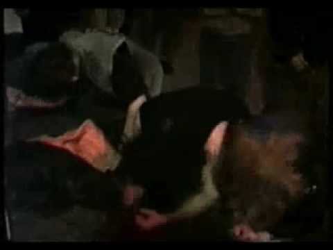 Youtube Video A4uUGUqGpt4