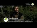Abitibi Natural Disturbance Management/cohort experiment