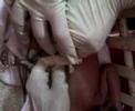 newborn care 091207 newborn care 091207