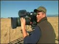 lions-cheetah-chase-jackel.html
