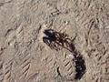videos de 20081121_72.AVI