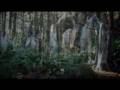 Arwen Music Video-- Here With Me