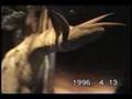 西武園ユネスコ村 大恐竜探検館 1996年4月13日 Dinosaur Museum in JAPAN