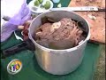estufa solar cocina barbacoa