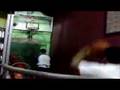 3 point shoot out