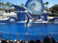 Nolan Watching Dolphin Show