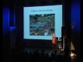 TEDxNottingHill - Dr Phyllis SantaMaria - 10/09/09
