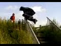 Casse gueule 01
