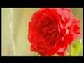 Reshat Arbana - Letra e nenes (pjesa e dyte)