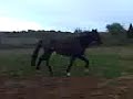 Ruby On Lunge