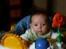 Baby Cate plays in her walker.