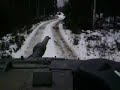Finnish Leopard 2A4 at H�til�