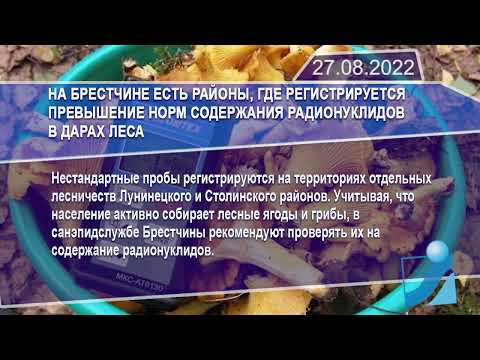 Новостная лента Телеканала Интекс 27.08.22.