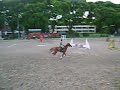 Segunda Pasada en 0,70 cms