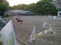 Segunda Pasada en 0,70 cms