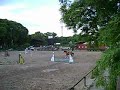 Segunda Pasada en 0,70 cms