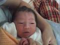 24 hour old Nacchan