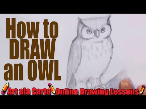 how to draw owl step by step