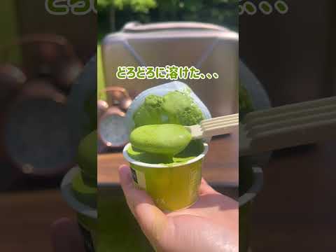 【ピックアップロゴス】倍速凍結・氷点下パック XL