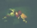 Chibby Fight