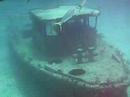 Dive Bahamas Dive Bahamas