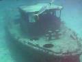 Dive Bahamas