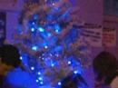 kerstboom 6 @ 't Clubhuiske waasmont