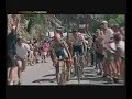 Omaggio a Marco Pantani (La Rinascita)