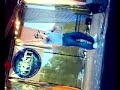 Imran Khan Up Norway Mela 08 - WWW.IMRANKHANWORLD.COM