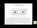 Electric Fields (General Physics Review) - Examville.com