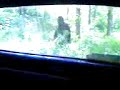 Bigfoot Sighting Captured on my pantech Duo