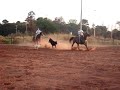 Team Roping Navirai - MS 04