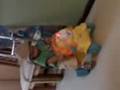 ricardito jugando con su leon