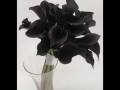 Black and White Wedding